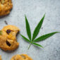 Kitchen Stoned: Creative Ways to Use Cannabis in Your Cooking and Baking