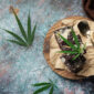 Flower Power: Unlock the Flavor and Nutrition of Cannabis with These 5 Savory Recipes