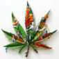 From Low to High: How Cannabis Can Help Manage Mood Disorders
